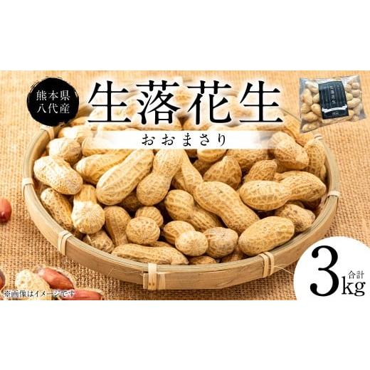 ふるさと納税 豆類 熊本県 八代市 先行予約 熊本県 八代産 生落花生 おおまさり 3kg 落花生 ラッカセイ らっかせい おおまさり 生 なま 茹で おつまみ おやつ…