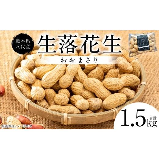 ふるさと納税 豆類 落花生 熊本県 八代市 先行予約 熊本県 八代産 生落花生 おおまさり 1.5kg 落花生 ラッカセイ らっかせい おおまさり 生 なま 茹で おつま…