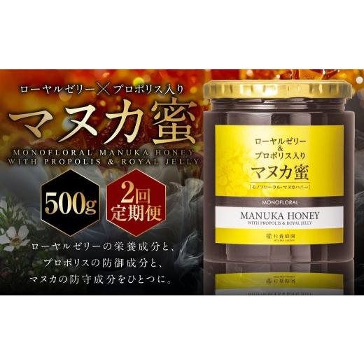ふるさと納税 加工品等 はちみつ 熊本県 熊本市 2回定期便 ローヤルゼリー & プロポリス入り マヌカ蜜 500g (合計1kg) / 杉養蜂園 蜂蜜 はちみつ ハチミ…