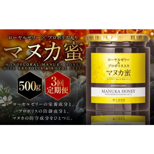 ふるさと納税 加工品等 はちみつ 熊本県 熊本市 3回定期便 ローヤルゼリー & プロポリス入り マヌカ蜜 500g (合計1.5kg) / 杉養蜂園 蜂蜜 はちみつ ハチ…