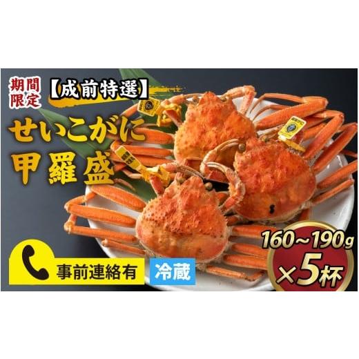 ふるさと納税 カニ ずわいガニ 福井県 福井市 美味しさ直送 成前特選 せいこがに(160g〜190g)×5杯 期間限定 G-028043_FC / 福井県 福井 メス 雌 せいこ ズ…