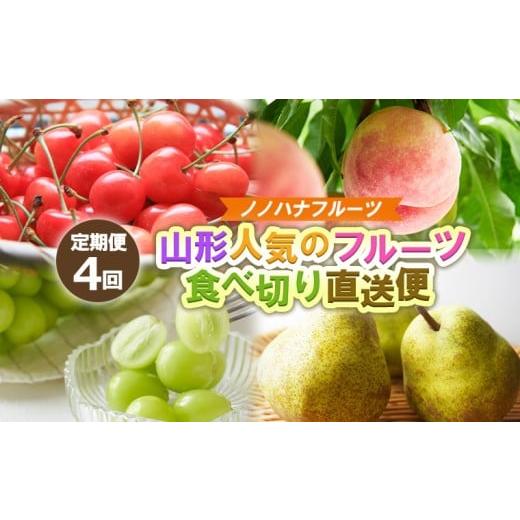 ふるさと納税 果物類 さくらんぼ 山形県 山形市 定期便4回 ノノハナフルーツ 山形人気のフルーツ 食べ切り直送便 令和8年産先行予約 FS25-069