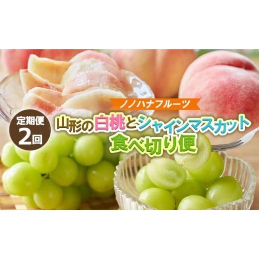 ふるさと納税 もも 山形県 山形市 定期便2回 桃とシャインマスカット 山形直送 令和8年産先行予約 FS25-073