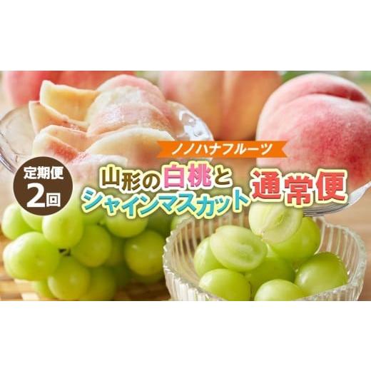 ふるさと納税 もも 山形県 山形市 定期便2回 山形の桃3kgとシャインマスカット1.2kg(2〜3房) 産地直送便 令和8年産先行予約 FS25-074