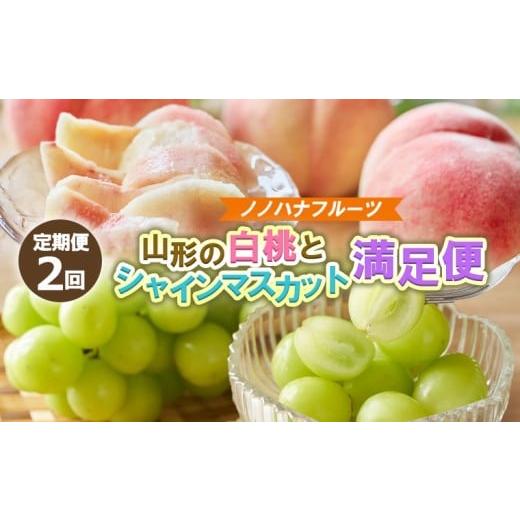 ふるさと納税 もも 山形県 山形市 定期便2回 山形の白桃4.5kgと大粒シャインマスカット1.8kg (2〜4房) 山形直送便 令和8年産先行予約 FS25-075