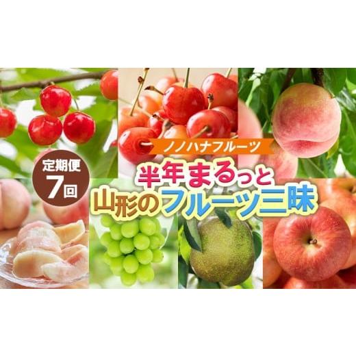 ふるさと納税 果物類 さくらんぼ 山形県 山形市 定期便7回 ノノハナフルーツ 半年まるっと山形のフルーツ三昧 令和8年産先行予約 FS25-076