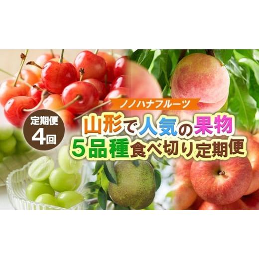ふるさと納税 果物類 さくらんぼ 山形県 山形市 定期便4回 ノノハナフルーツ 山形市で人気の果物5品種食べきり定期便 令和8年産先行予約 FS25-077