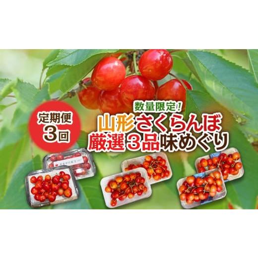 ふるさと納税 果物類 さくらんぼ 山形県 山形市 定期便3回 数量限定 山形さくらんぼ厳選3品味めぐり 令和8年産先行予約 FS25-102