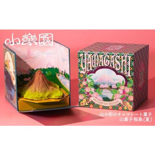 ふるさと納税 菓子 チョコレート 東京都 渋谷区 山菓子 桜島御岳(夏) チョコレート菓子 スイーツ ガナッシュ ケーキ 小豆 果実 ナッツ クレープ生地 ビスケ…