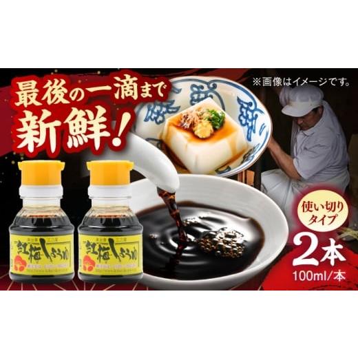 ふるさと納税 醤油 濃口 島根県 雲南市 すぐに贅沢、一滴から。さい仕込み卓上醤油100ml×2本セット 調味料 醤油 卓上醤油 しょうゆ こいくち うすくち ギフト…
