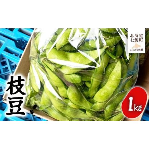 ふるさと納税 豆類 枝豆 北海道 七飯町 先行予約 令和8年8月中旬より順次発送 北海道産 枝豆500g×2 おいしい ふるさと納税 人気 おすすめ ランキング えだま…