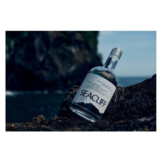 ふるさと納税 お酒 洋酒 静岡県 熱海市 SEACLIFF STANDARD CRAFT GIN