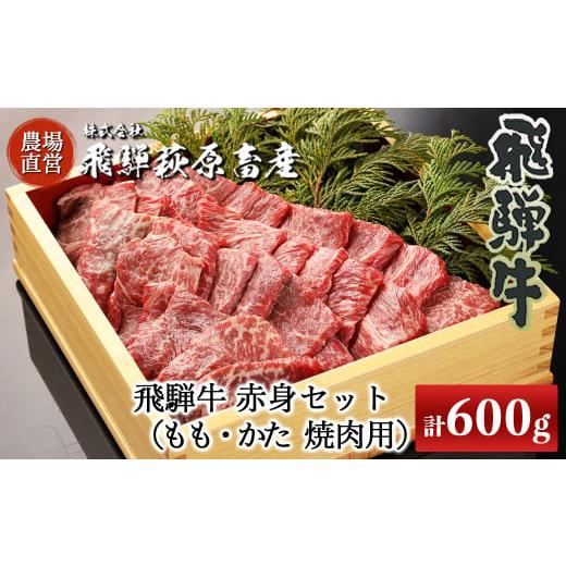 ふるさと納税 牛肉 焼肉・バーベキュー 岐阜県 下呂市 年内順次発送 飛騨牛赤身焼肉セット 600g(もも焼肉 300g・かた焼肉 300g)焼肉 焼き肉用 飛騨牛 赤身 …