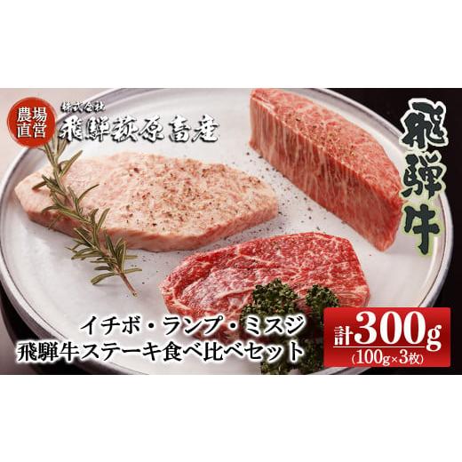 ふるさと納税 牛肉 ステーキ 岐阜県 下呂市 年内順次発送 希少部位3種を食べ比べ 飛騨牛ステーキ食べ比べセット (イチボ 100g×1枚・ランプ 100g×1枚・ミス…