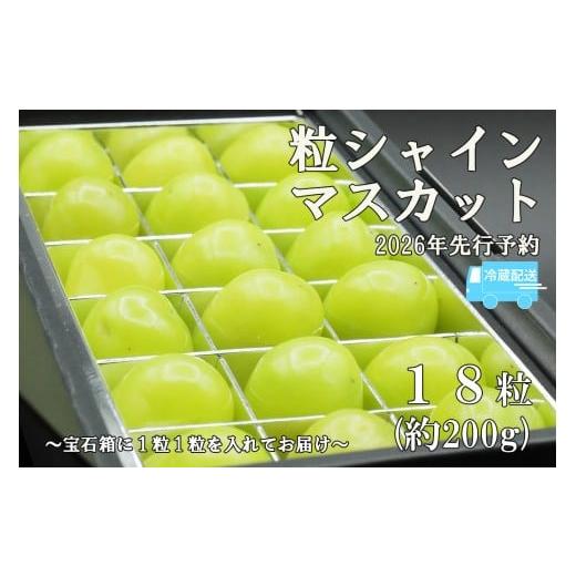 ふるさと納税 ぶどう マスカット 山梨県 富士川町 令和8年度先行予約 [厳選・宝石箱]シャインマスカットひと口BOX(18粒入り・約200g) 冷蔵発送 シャイン…