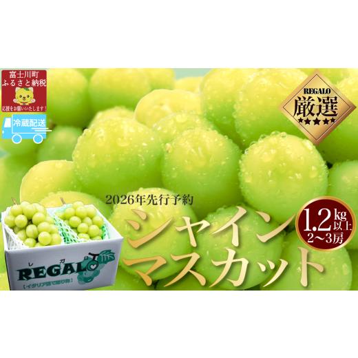 ふるさと納税 ぶどう マスカット 山梨県 富士川町 2026年発送分 先行予約 頬張る幸福感 〜緑の宝石・シャインマスカット〜 1.2kg以上(2〜3房) 冷…