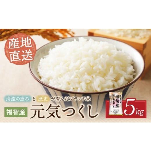 ふるさと納税 米 福岡県 福智町 W39-02 福智町産ブランド米(元気つくし 5kg) お米 米 こめ コメ ブランド米 白米 人気 おすすめ 元気つくし げんきつくし 福岡…