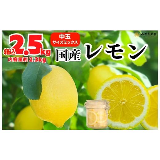 ふるさと納税 みかん・柑橘類 レモン 和歌山県 有田川町 レモン 中玉 国産 箱込2.5kg(内容量約2.3kg) 秀品 L 2L 3L サイズミックス 和歌山県有田産 みかんの会…