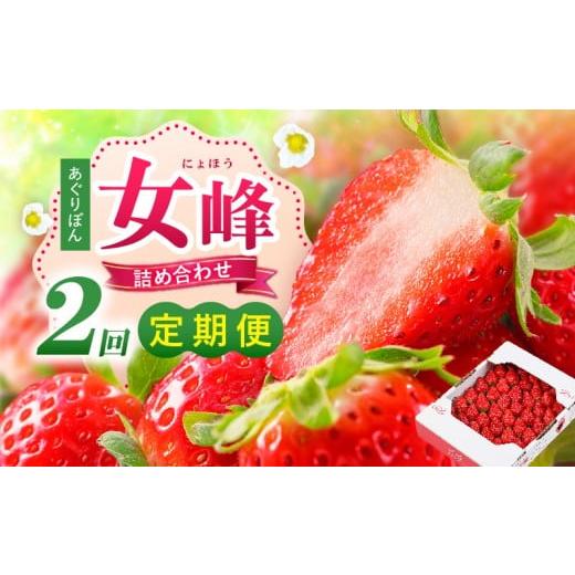 ふるさと納税 いちご 香川県 三木町 あぐりぼん「女峰」詰め合わせ 2回定期便 |いちご 果物 フルーツ 定期便 女峰 希少 デザート ストロベリー 果肉 スイーツ …