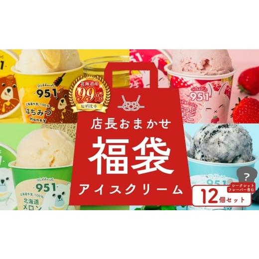ふるさと納税 菓子 アイス 北海道 札幌市 福袋 951アイスクリーム 12個セット|スイーツ 北海道 札幌市