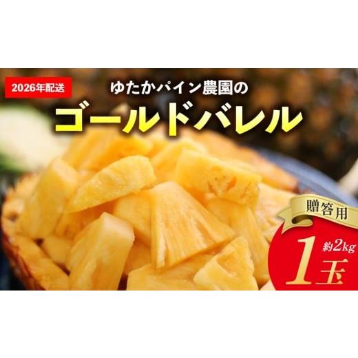 ふるさと納税 果物類 沖縄県 東村 ゆたかパイン農園のゴールドバレル 1玉(贈答用)約2kg 2026年発送 沖縄県産 東村 パイナップル ジューシー 希少 高級フル…