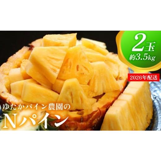 ふるさと納税 果物類 沖縄県 東村 ゆたかパイン農園のNパイン 2玉(約3.5kg) 2026年発送 沖縄県産 東村 パイナップル ジューシー 希少 高級フルーツ 南国フ…