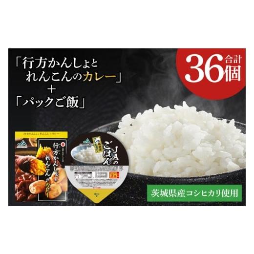 ふるさと納税 加工品等 レトルト 茨城県 行方市 〜GI登録「さつまいも」使用〜「行方かんしょとれんこんのカレー」&「パックご飯」各18個セット|カレー レト…