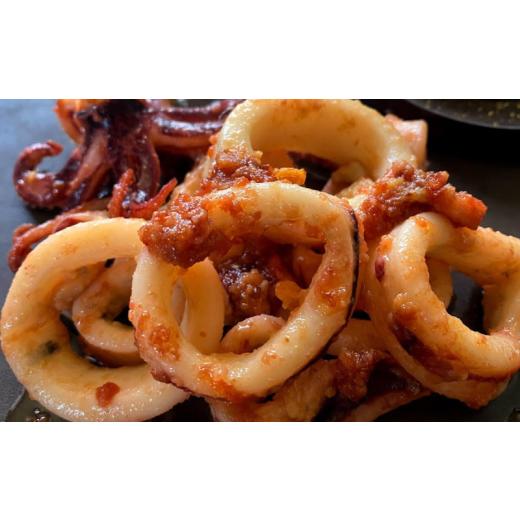 ふるさと納税 イカ 千葉県 旭市 ヤリイカ 西京漬け 600g ヤリイカの西京味噌漬け イカ 烏賊 西京焼き いかの西京焼き 西京味噌 小分け 海の幸 海 魚 ご飯のお…