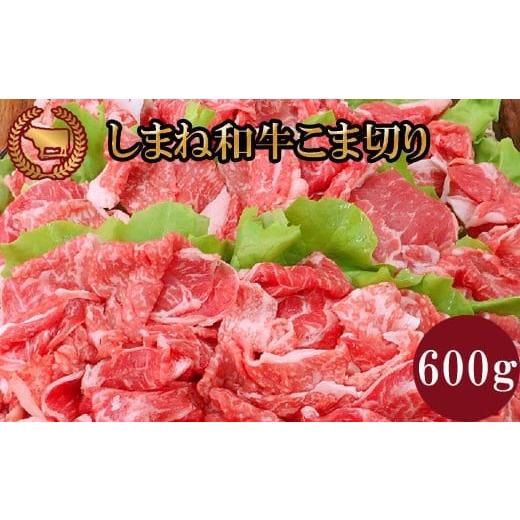 ふるさと納税 牛肉 島根県 出雲市 藤増 しまね和牛小間切り 600g 冷蔵