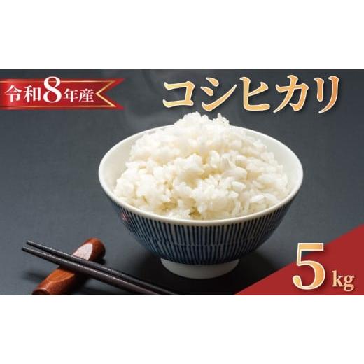ふるさと納税 米 コシヒカリ 千葉県 旭市 2026年8月発送 令和8年産 新米 米 コシヒカリ 5kg 精米 白米 新米5kg 2026 8年産 お米 ご飯 こめ コメ ライス ご飯 …