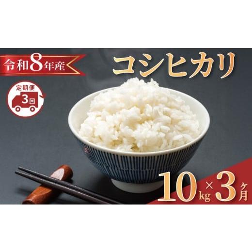 ふるさと納税 米 コシヒカリ 千葉県 旭市 2026 年発送 全3回発送 定期便 固定月 令和8年産 コシヒカリ 計30kg 新米 米 精米 白米 新米10kg 2026 8年産 お米 …