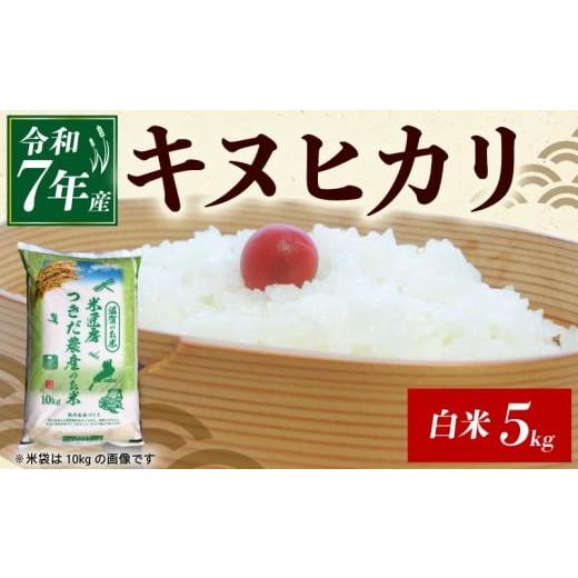 ふるさと納税 米 滋賀県 彦根市 令和7年産 キヌヒカリ 白米 5kg 米 コメ お米 新米 ご飯 ごはん きぬひかり おにぎり お弁当 滋賀 彦根
