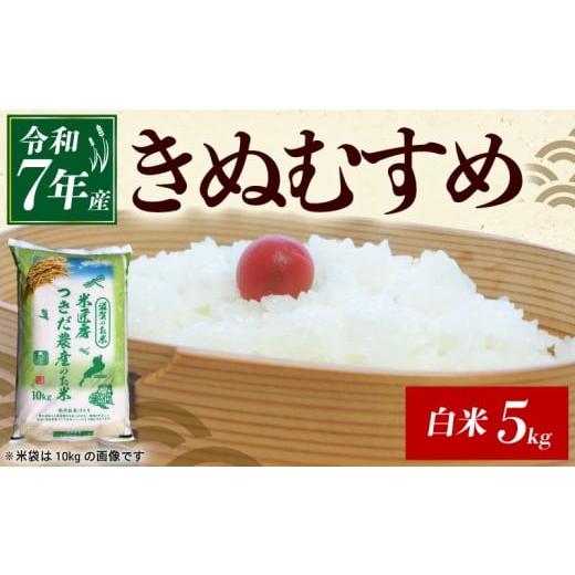 ふるさと納税 米 きぬむすめ 滋賀県 彦根市 令和7年産 きぬむすめ 白米 5kg 米 コメ お米 新米 ご飯 ごはん キヌムスメ おにぎり お弁当 滋賀 彦根
