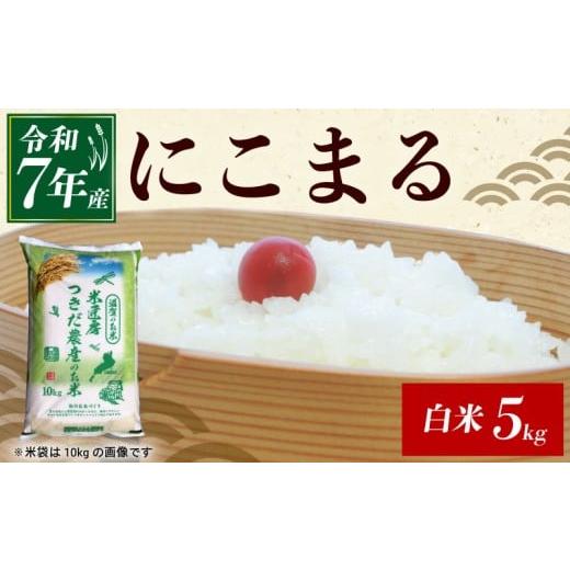 ふるさと納税 米 にこまる 滋賀県 彦根市 令和7年産 にこまる 白米 5kg 米 コメ お米 新米 ご飯 ごはん ニコマル おにぎり お弁当 滋賀 彦根