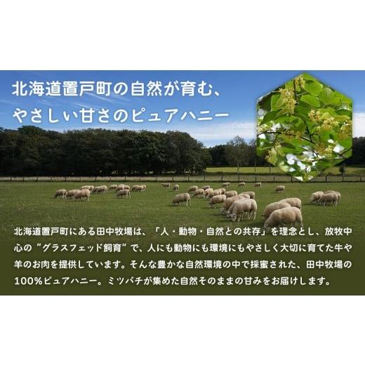 ふるさと納税 加工品等 はちみつ 北海道 置戸町 数量限定 100%ピュア田中ハニー ふるさと納税 人気 おすすめ ランキング はちみつ ハチミツ 蜂蜜 ピュアハニ…_2