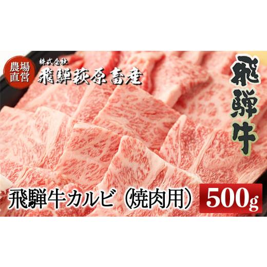 ふるさと納税 牛肉 焼肉・バーベキュー 岐阜県 下呂市 年内順次発送 飛騨牛カルビ焼肉用(500g)最高級 国産 牛肉 ブランド牛 牛 焼き肉 ギフト 贈答 飛騨牛 …