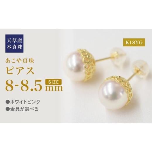 ふるさと納税 アクセサリー ピアス 熊本県 天草市 S101-427_あこや真珠 天草 熊本 ピアス 菊皿 8mm - 8.5mm 花型 ホワイトピンク K18 K14 本真珠 K18YG K18YG