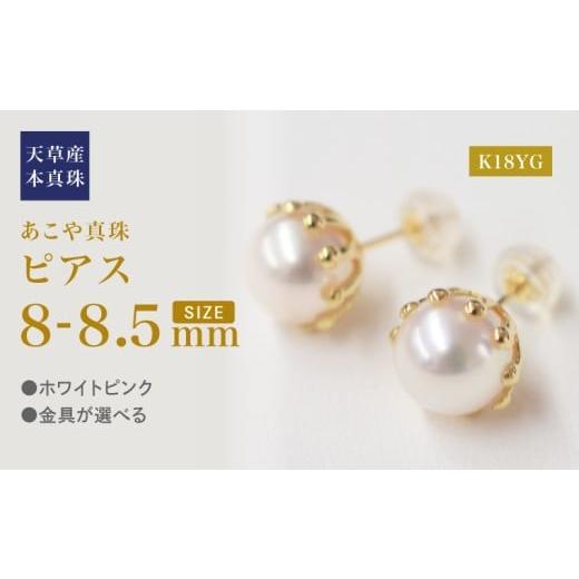 ふるさと納税 アクセサリー ピアス 熊本県 天草市 S101-430_あこや真珠 天草 熊本 ピアス ミルククラウン 8mm - 8.5mm 皿 花型 花びら ホワイトピンク K18YG K…