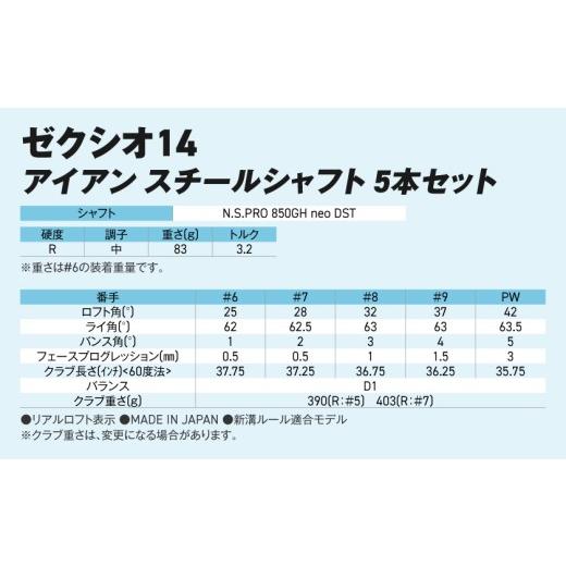 ふるさと納税 ゴルフグッズ クラブ 宮崎県 都城市 ゼクシオ 14 アイアン スチールシャフト 5本セット R 《2025年モデル》_IJ-C701-R 5本セット R |  | 03