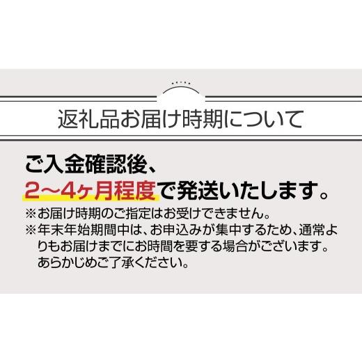 ふるさと納税 ゴルフグッズ クラブ 宮崎県 都城市 ゼクシオ 14 アイアン スチールシャフト 5本セット R 《2025年モデル》_IJ-C701-R 5本セット R |  | 04