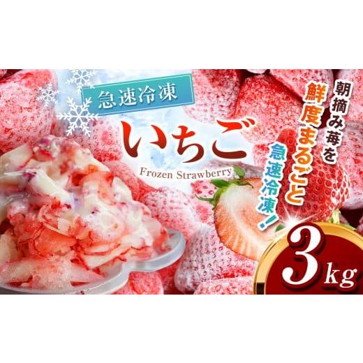 ふるさと納税 いちご 栃木県 真岡市 冷凍いちご とちあいか 3kg カット済み | 定期便 訳あり 2026年 とちあいか いちご イチゴ 朝摘み 冷凍 ジャム カクテル …
