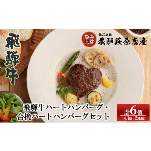 ふるさと納税 肉 ハンバーグ 岐阜県 下呂市 年内順次発送 飛騨牛ハートハンバーグ・合挽ハートハンバーグセット(各3個・計6個)ギフト 贈答 かわいい 冷凍 …