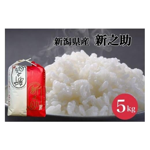 ふるさと納税 米 新潟県 阿賀野市 令和7年産新米 新之助 5kg (5kg×1袋) 塩田農園 新潟県 阿賀野市 米 白米 精米 コク 甘味 旨味 3O01021