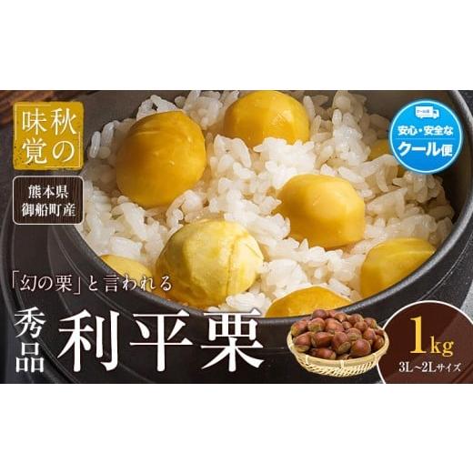 ふるさと納税 果物類 栗 熊本県 御船町 利平栗 熊本県御船町産限定 約1kg(3L-2Lサイズ)[9月上旬-10月上旬出荷]送料無料 期間限定 野菜 予約 スイーツ きんと…