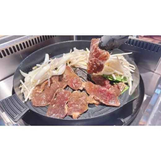 ふるさと納税 羊肉 北海道 長沼町 羊飼いが考えた味付ラム900g(300g×3袋)