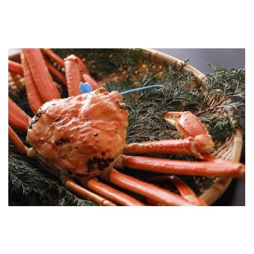 ふるさと納税 カニ 松葉ガニ 兵庫県 豊岡市 kinosaki spa&amp;gardens 湯楽使用 タグつき 釜茹で松葉ガニ 約700g 釜茹で松葉ガニ 約700g