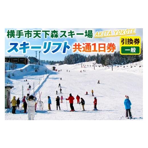 ふるさと納税 イベントやチケット等 秋田県 横手市 横手市天下森スキー場 スキーリフト共通1日券(一般)引換券 ゆうパケット