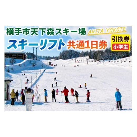 ふるさと納税 イベントやチケット等 秋田県 横手市 横手市天下森スキー場 スキーリフト共通1日券(小学生)引換券 ゆうパケット