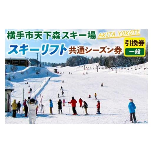 ふるさと納税 イベントやチケット等 秋田県 横手市 横手市天下森スキー場 スキーリフト共通シーズン券(一般)引換券 ゆうパケット