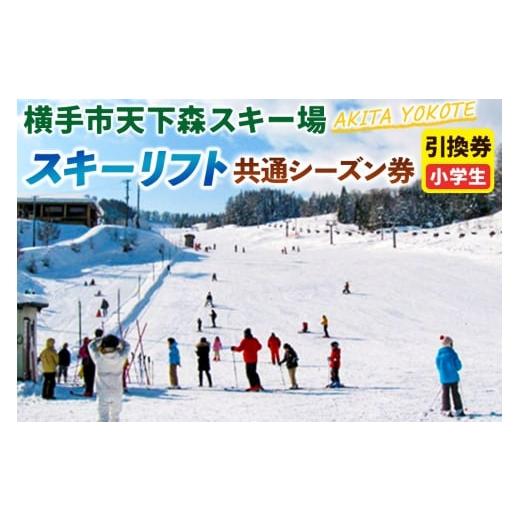 ふるさと納税 イベントやチケット等 秋田県 横手市 横手市天下森スキー場 スキーリフト共通シーズン券(小学生)引換券 ゆうパケット